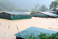 Fuertes lluvias e inundaciones han anegado numerosas viviendas en la comuna de Trung Ha, provincia central de Thanh Hoa. (Foto: VNA)