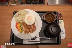 El plato "Arroz partido vietnamita con cerdo" (Fuente: VNA)
