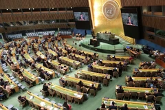En la sesión plenaria del CDHNU para elegir a sus miembros para el período 2026-2028 (Foto: VNA)