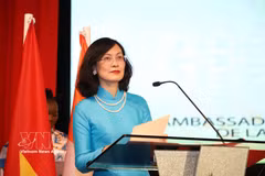 La embajadora de Vietnam en Marruecos, Le Kim Quy (Fuente: VNA)