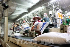 Vietnam ya ha enviado 6,3 millones de toneladas en los primeros ocho meses de 2025 (Fuente: VNA)