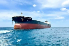 The Momentum, un buque granelero con un peso muerto de 110 mil toneladas (Fuente: VNA)