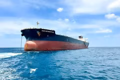 The Momentum, un buque granelero con un peso muerto de 110 mil toneladas (Fuente: VNA)