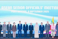 Los altos funcionarios de los países miembros de la ASEAN en la reunión SOM (Fuente: VNA)