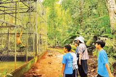 Jóvenes voluntarios acompañan y cuidan a los animales rescatados en el Parque Nacional Bu Gia Map. Foto: nhandan.vn