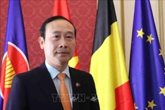 El embajador vietnamita en Bélgica, concurrente en el Gran Ducado de Luxemburgo, y jefe de la Delegación vietnamita ante la Unión Europea (UE) Nguyen Van Thao (Fuente: VNA)