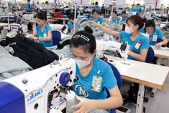 La baja tasa de fertilidad tiene un impacto negativo en el tamaño y la estructura de la población, como la escasez de mano de obra (Fuente: VNA)