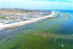 El distrito de Thuan Nam, provincia de Ninh Thuan, fue elegido como sede para la construcción de la central nuclear Ninh Thuan 1. (Foto: VNA)