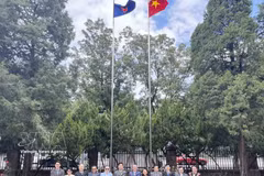 Los embajadores de los países de la ASEAN en Pekín y el secretario general del Centro China-ASEAN posan para una foto de grupo. Foto: VNA