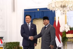 El presidente indonesio, Prabowo Subianto (derecha), y el primer ministro tailandés, Anutin Charnvirakul, se reúnen en Yakarta el 3 de agosto. (Foto: VNA)
