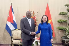 La vicepresidenta de Vietnam, Vo Thi Anh Xuan, recibe al miembro del Buró Político y vicepresidente de Cuba, Salvador Valdés Mesa (Fuente: VNA)
