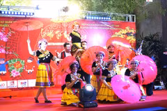 Una interpretación en la ceremonia de apertura del Festival Tet vietnamita 2025 en Bukit Bintang, Kuala Lumpur. Foto: VNA