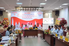 En el seminario titulado "Vietnamitas en el extranjero ofrecen sugerencias para el desarrollo de Ciudad Ho Chi Minh". (Foto: VNA)