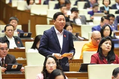 El delegado Tran Quoc Nam, jefe de la delegación parlamentaria de la provincia de Ninh Thuan (Fuente: VNA)