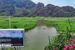 Conservación de la naturaleza y preservación de la biodiversidad. (Foto: Vietnam+)