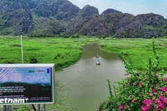 Conservación de la naturaleza y preservación de la biodiversidad. (Foto: Vietnam+)