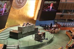 El Embajador Dang Hoang Giang, jefe de la misión permanente de Vietnam ante la ONU, habla en la reunión (Fuente: VNA)