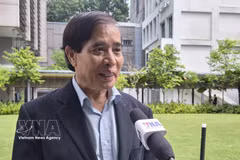 El profesor Vu Minh Khuong, de la Escuela de Políticas Públicas Lee Kuan Yew (Fuente: VNA)