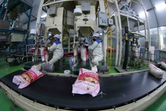 Senegal es un mercado potencial para las exportaciones de arroz de Vietnam. (Foto: VNA)