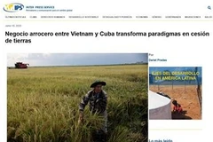 El artículo en la página de IPS (Fuente: VNA)