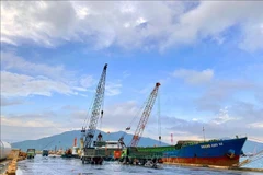 Una parte del puerto de Vung Ang (Fuente: VNA)