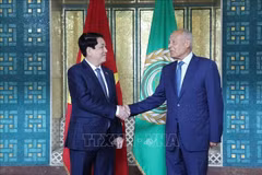El presidente de Vietnam, Luong Cuong (izquierda) y el secretario general de la LEA, Ahmed Aboul Gheit (Fuente: VNA)