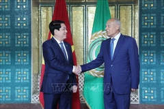 El presidente de Vietnam, Luong Cuong (izquierda) y el secretario general de la LEA, Ahmed Aboul Gheit (Fuente: VNA)