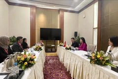 La delegación vietnamita sostiene una reunión bilateral con representantes de los Emiratos Árabes Unidos (Fuente: VNA)