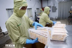 Vietnam diversifica mercados y productos de exportación