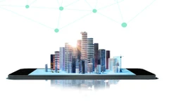 Programa de Desarrollo del Gobierno Digital