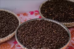 El café robusta, producto estrella de Vietnam (Foto: VNA)