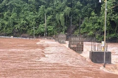 Fuertes lluvias provocan la subida del nivel del agua, inundando carreteras y el subsuelo en el norte de la provincia de Quang Tri. Foto: VNA