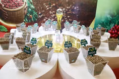 En 2026, la competencia registró su mayor participación hasta la fecha, con 182 inscripciones de 81 establecimientos, que representaban a 7 regiones cafetaleras de todo el país. Foto: VNA