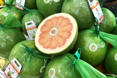 El pomelo vietnamita ha entrado oficialmente en el mercado australiano. Foto: El pomelo vietnamita de piel verde ha entrado oficialmente en el mercado australiano. Foto: VNA