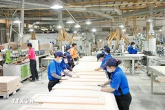 La Resolución 68 promueve el desarrollo del sector económico privado (Fuente: VNA)
