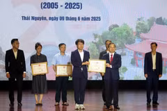 El Comité Popular de Thai Nguyen otorga certificados de mérito a unos 12 colectivos e individuos con logros sobresalientes en actividades para fomentar la relación con Gyesongbuk-do (Fuente: VNA)