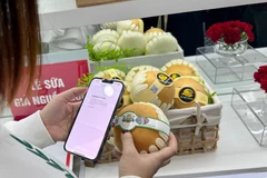 Foto ilustrada (Fuente: VNA)