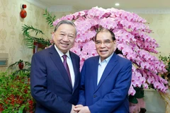 El secretario general del Partido Comunista de Vietnam, To Lam, realiza una visita y transmite felicitaciones por el Año Nuevo Lunar al exsecretario general Nong Duc Manh (Fuente: VNA)