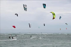 Más de 60 atletas de 12 países participaron en el torneo abierto de kitesurf 2024, que tuvo lugar en la provincia vietnamita de Ninh Thuan (Fuente: VNA)