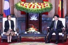 El presidente de Vietnam, Luong Cuong, se reúne con la vicepresidenta de Laos, Pany Yathoto (Fuente: VNA)