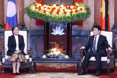 El presidente de Vietnam, Luong Cuong, se reúne con la vicepresidenta de Laos, Pany Yathoto (Fuente: VNA)