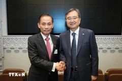 El ministro interino de Relaciones Exteriores de Vietnam, Le Hoai Trung, y el ministro de Relaciones Exteriores de Corea del Sur, Cho Hyun (Fuente: VNA)