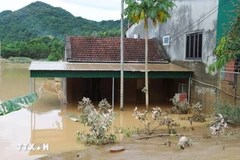 Hanoi aporta 196 mil dólares para ayudar a la provincia de Nghe An, afectada por las inundaciones. (Foto: VNA)