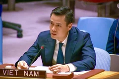 El embajador Dang Hoang Giang, jefe de la misión permanente de Vietnam ante la Organización de las Naciones Unidas (Fuente: VNA)