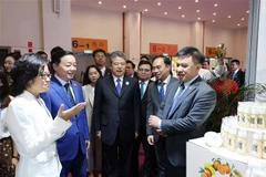 El viceprimer ministro Tran Hong Ha (segundo de izquierda) visita el stand vietnamita en la feria (Fuente: VNA)
