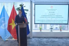 El embajador Do Hung Viet habla en la cita (Fuente: VNA)