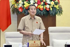 El vicepresidente del Parlamento, Nguyen Duc Hai (Fuente: VNA)