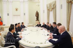 Primer ministro vietnamita se reúne con presidente ruso Vladimir Putin en Moscú