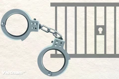 Foto ilustrativa (Fuente: VNA)