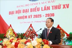 Le Minh Ngan, nuevo secretario del Comité del Partido Comunista de Vietnam en la provincia de Lai Chau (Fuente: VNA)